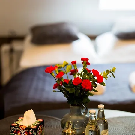 Pilotow 87 Apartamento *